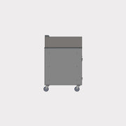 N98043 NSF CA - Carts - C Nelson Manufacturing